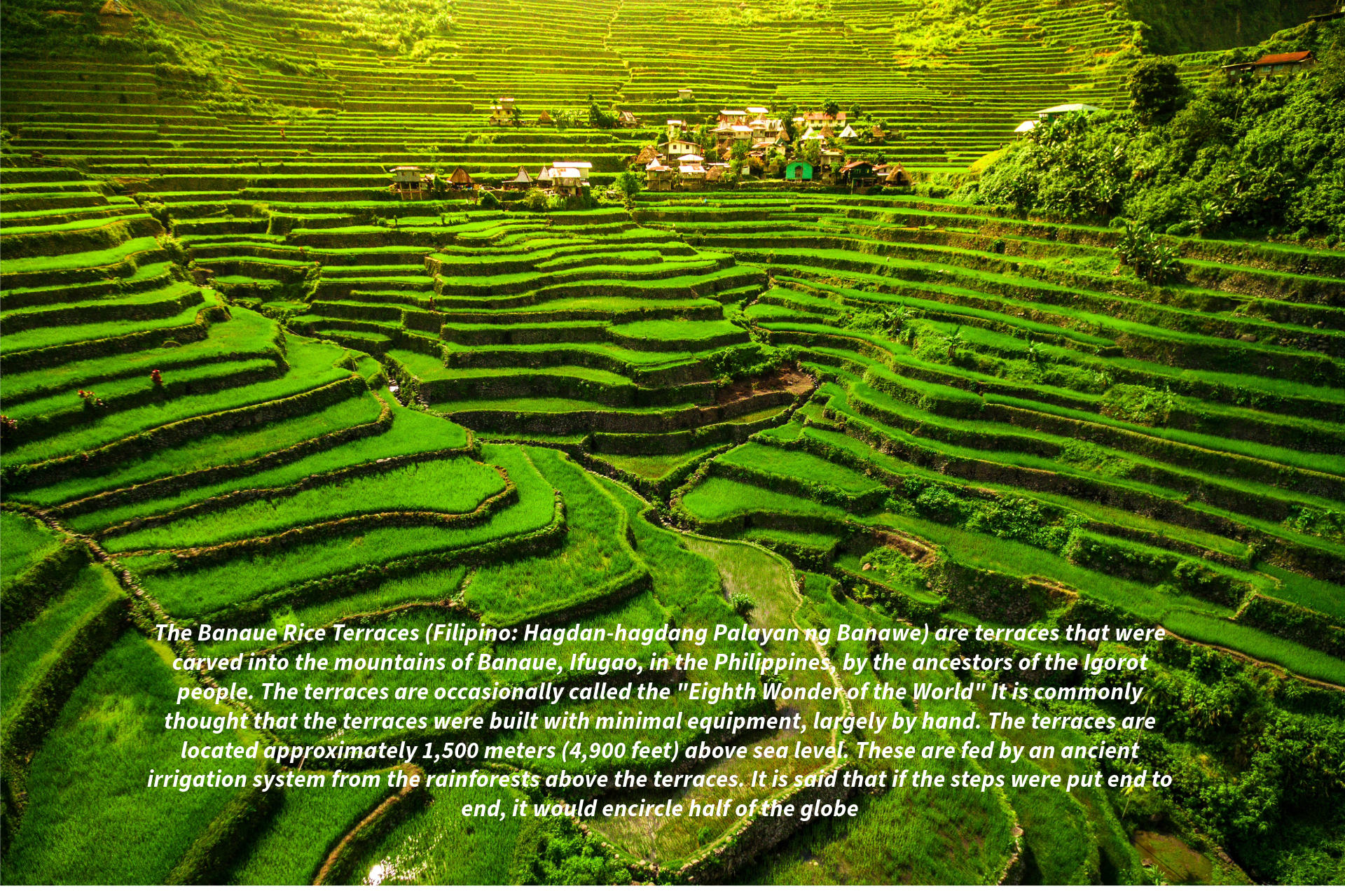 Banaue Rice Terraces