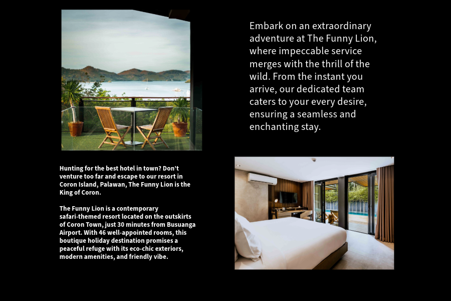 The Funny Lion Coron 2